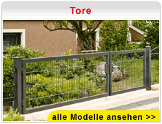 Tore