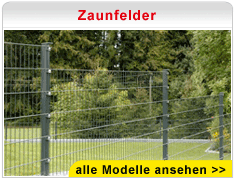 Zaunfelder